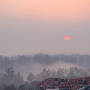 全裸美女被挤牛奶视频
